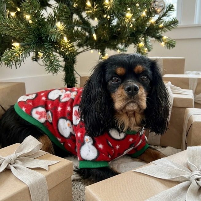 Red fleece dog sweater with snowmen